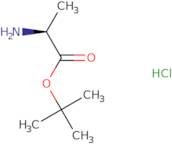 L-Alanine t-butyl ester hydrochloride