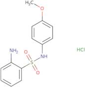 2-Amino-N-(4-methoxyphenyl)benzensulfonamide hydrochloride