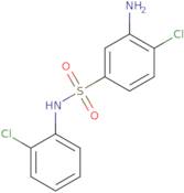 3-Amino-4-chloro-N-(2-chlorophenyl)-Benzenesulfonamide