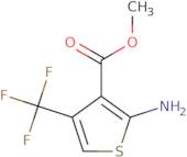 2-Amino-4-(trifluoromethyl)thiophene-3-carboxylic acid methyl ester