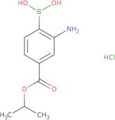 2-Amino-4-(isopropoxycarbonyl)phenylboronic acid, HCl