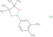 3-Amino-4-methylphenylboronic acid, pinacol ester, HCl