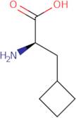 (R)-2-Amino-3-cyclobutylpropanoic acid