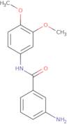 (3-Aminophenyl)-N-(3,4-dimethoxyphenyl)formamide