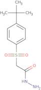 N-Amino-2-((4-(tert-butyl)phenyl)sulfonyl)ethanamide