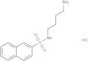 N-(4-Aminobutyl)-2-naphthalenesulfonamide hydrochloride