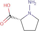 N-Amino-D-proline