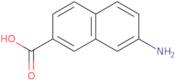 7-Amino-2-naphthoic acid