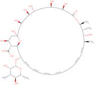 Amphotericin A