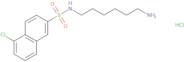 N-(6-Aminohexyl)-5-chloro-2-naphthalenesulfonamide hydrochloride