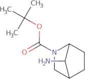 tert-Butyl 7-Amino-3-azabicyclo[2.2.1]heptane-3-carboxylate