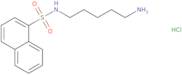 N-(5-Aminopentyl)-1-naphthalenesulfonamide hydrochloride