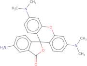 5-Aminotetramethyl rhodamine