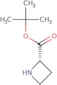 L-Azetidine-2-carboxylic acid t-butyl ester