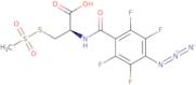 4-Azido-2,3,5,6-tetrafluorobenzamido-L-cysteine methanethiosulfonate