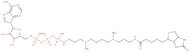 ATP-polyamine-biotin