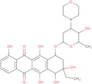 Anthracycline