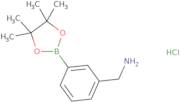3-AMinoMethylbenzeneboronic acid pinacol ester hydrochloride