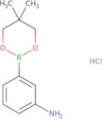 3-Aminophenylboronic acid neopentyl glycol ester HCl