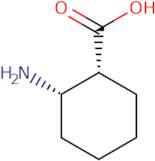 cis-2-Amino-1-cyclohexane-carboxylic acid