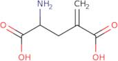 2-Amino-4-methylenepentanedioic acid