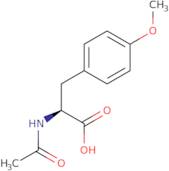 Acetyl-O-methyl-L-tyrosine