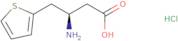(R)-3-Amino-4-(2-thienyl)butyric acid