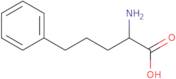 D-2-Amino-5-phenylpentanoic acid