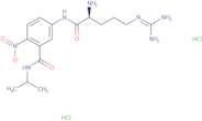 L-Arginine-[4-nitro-3-(carboxy-iso-propyl amid)-phenyl] ester dihydrochloride