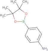 (4-Aminophenyl)boronic acid pinacol ester