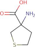 3-Amino-tetrahydro-thiophene-3-carboxylic acid