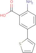 2-amino-5-thien-2-ylbenzoic acid