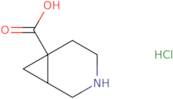 3-Azabicyclo[4.1.0]heptane-6-carboxylic acid hydrochloride