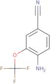 4-Amino-3-(trifluoromethoxy)benzonitrile