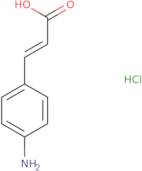 4-Aminocinnamic acid hydrochloride