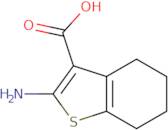 2-amino-4,5,6,7-tetrahydrobenzo[b]thiophene-3-carboxylic acid
