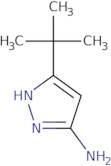 3-Amino-5-tert-butylpyrazole