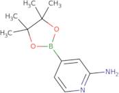 2-Aminopyridine-4-boronic Acid Pinacol Ester
