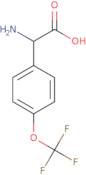 2-Amino-2-[4-(Trifluoromethoxy)Phenyl]Acetic Acid