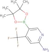 2-Amino-4-(trifluoromethyl)pyridine-5-boronic acid pinacol ester