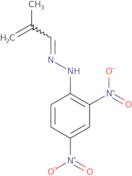 (2E)-1-(2,4-Dinitrophenyl)-2-(2-methylprop-2-en-1-ylidene)hydrazine