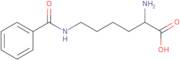 2-Amino-6-(benzoylamino)hexanoic acid