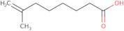 7-Methyl-7-octenoic acid