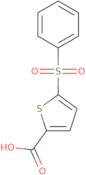 5-(Benzenesulfonyl)thiophene-2-carboxylic acid