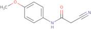 2-Cyano-N-(4-methoxyphenyl)acetamide