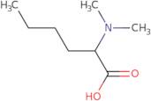 2-(Dimethylamino)hexanoicacid