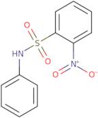 2-Nitro-N-phenylbenzenesulfonamide