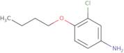 4-Butoxy-3-chloroaniline