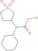 2-Chloro-N-cyclohexyl-N-(1,1-dioxothiolan-3-yl)acetamide