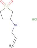 Tetrahydro-​N-​2-​propen-​1-​yl-​3-​thiophenamine 1,​1-​dioxide hydrochloride